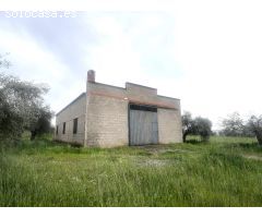 PARCELA CON NAVE EN COTO PERRERO (DON BENITO)