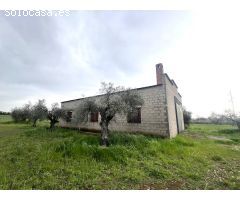 PARCELA CON NAVE EN COTO PERRERO (DON BENITO)