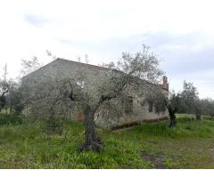 PARCELA CON NAVE EN COTO PERRERO (DON BENITO)