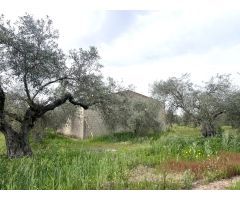 PARCELA CON NAVE EN COTO PERRERO (DON BENITO)