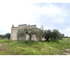 PARCELA CON NAVE EN COTO PERRERO (DON BENITO)