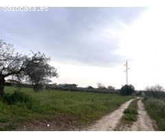 PARCELA CON NAVE EN COTO PERRERO (DON BENITO)