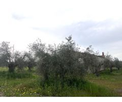 PARCELA CON NAVE EN COTO PERRERO (DON BENITO)