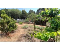 Casa de Campo en Venta en Roda (La), Albacete