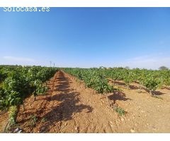 Chalet en Venta en Roda (La), Albacete