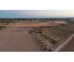  en Venta en Roda (La), Albacete