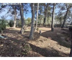 Chalet en Venta en Roda (La), Albacete