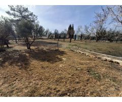 Chalet en Venta en Roda (La), Albacete