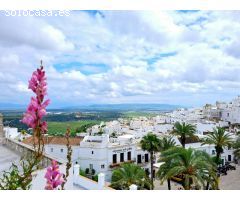 FINCA PALACIEGA DEL SIGLO XIX EN VEJER DE LA FRONTERA. Una joya histórica en el casco antiguo