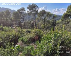 Terreno con licencia en Rectoret, Vallvidrera