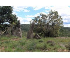 Terreno rural en Venta en Guardia de Tremp, Lleida