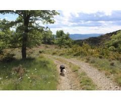 Terreno rural en Venta en Guardia de Tremp, Lleida