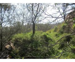 TERRENO EN VENTA EN SERRA, SIN COMISIÓN.