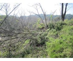 TERRENO EN VENTA EN SERRA, SIN COMISIÓN.