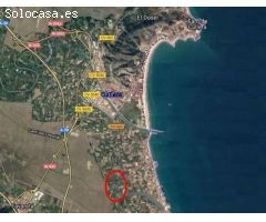 TERRENO NO URBANIZABLE EN ZONA EL MURTAR, JUNTO A L´ESTANY