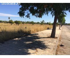 TERRENO URBANO EN VENTA EN TORRENT!! OPORTUNIDAD PARA EMPRESAS Y AUTÓNOMOS.