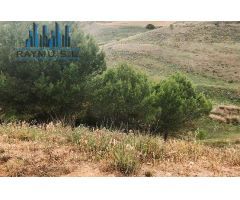 RAYMU Vende