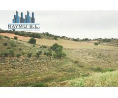 RAYMU Vende