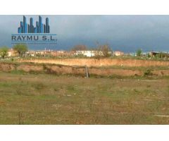 RAYMU Vende