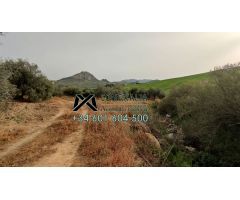 Chalet en Venta en Prunales, Sevilla