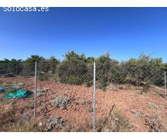VENTA DE TERRENO EN LOS RUBILAES, GUILLENA.