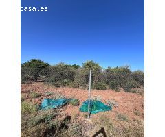 VENTA DE TERRENO EN LOS RUBILAES, GUILLENA.