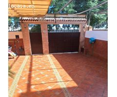 ADOSADO EN LA LOCALIDAD DE ALCALÁ DEL RÍO, SEVILLA.