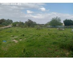 Preciosa parcela urbana en la exclusiva Urb. Sierra Norte, Castilblanco de los Arroyos