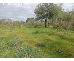 ???? ¡Magnífica parcela urbana en la Urb. Sierra Norte – Castilblanco de los Arroyos! ????
