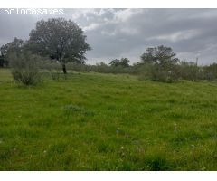 ???? ¡Magnífica parcela urbana en la Urb. Sierra Norte – Castilblanco de los Arroyos! ????