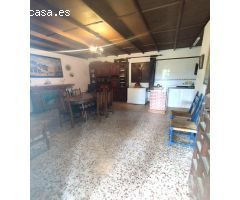 PARCELA CON VIVIENDA, EN EL CAMINO ESCARDIEL, CASTIBLANCO DE LOS ARROYOS, SEVILLA.
