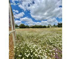¡Gran oportunidad! Venta de Parcela Rústica en Castiblanco de los arroyos, Sevilla.