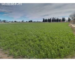 Venta de Terreno en Catral