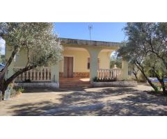 Chalet con terreno en Villamarxante