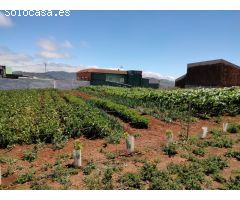 Terreno rural en Venta en San Cristobal de La Laguna, Santa Cruz de Tenerife
