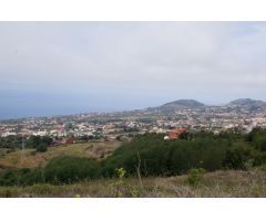 SE VENDE TERRENO EN EXPLOTACIÓN Y VIVIENDA