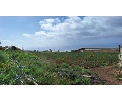 Se vende finca con casa en invernaderos en producción en Tacoronte