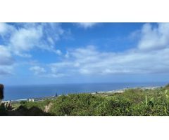Se vende finca con casa en invernaderos en producción en Tacoronte