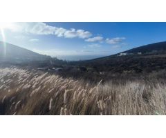 Terreno rustico en Machado