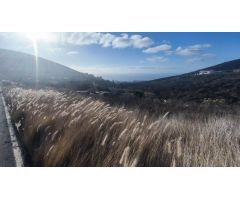 Terreno rustico en Machado