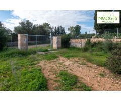 Gran finca de 25000 metros