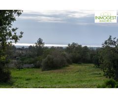 Gran finca de 25000 metros