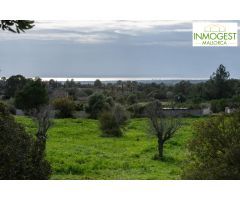 Gran finca de 25000 metros