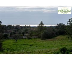 Gran finca de 25000 metros