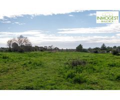 Gran finca de 25000 metros