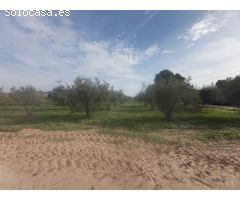 VENDE TERRENO EN VILLENA