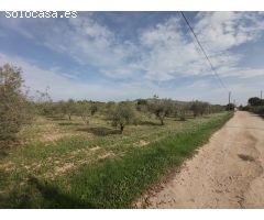 VENDE TERRENO EN VILLENA