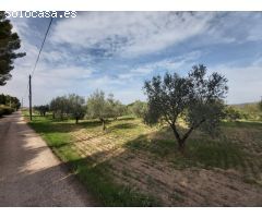 VENDE TERRENO EN VILLENA