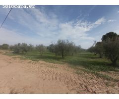 VENDE TERRENO EN VILLENA