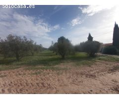VENDE TERRENO EN VILLENA